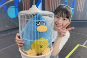 【日向坂46】このタイミングでポカブログを開設した理由って…