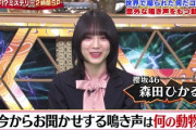 【櫻坂46】森田ひかる、動物好きの本領をいきなり発揮！！【世界の何だコレ!? ミステリー】