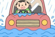 水没した車って廃車決定なの？車両保険入ってなかったら泣くしかないな