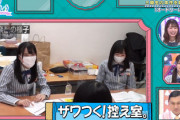【日向坂46】おひさま、今週の『ひなあい』を見た結果...