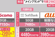 【超朗報】ドコモ、メインブランドで月額２９８０円に値下げへ…談合仲間のKDDI・ソフトバンク「・・・」