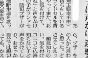 【悲報】小学生に挨拶しただけのおばあちゃん、防犯ブザーを鳴らされ逃げられる…
