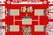 【にじさんじ麻雀杯2024】成瀬鳴はスケジュール都合のため出演辞退、代打は虎姫コトカ！