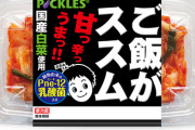 「ご飯がススムキムチ」とかいうやつ買った結果ｗｗｗｗｗｗｗ