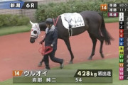 昨日の新潟新馬戦に出走した『ウルオイ』の家系図が可愛すぎると話題にｗｗｗｗｗｗ