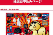 ヨドバシカメラの福袋｢2025年 夢のお年玉箱｣､抽選申込みは今日まで