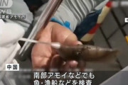 中国が魚･カニ･エビにPCR検査しててワロタ　ゼロコロナ脳の末路