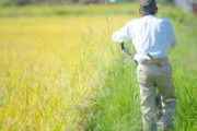 農家、減る一方で日本終わる