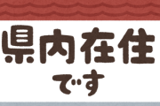 地方民「Go Toキャンペーンで来た他県ナンバー嫌がらせしたろ！」←これ