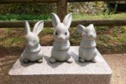 【かわいい】出雲大社、これでもかというくらいうさぎさんまみれだった