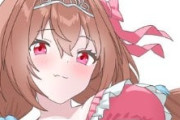 【ウマ娘】ダスカがトレーナーの海開きを…！？