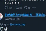 一足先にフォロワー10万人達成してしまうお姉ちゃん【おめシス】