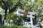 神道ではないが神社が好きでよく散歩している。