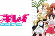 【セキレイ】ってアニメが昔あったんじゃよ
