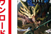 【悲報】識者「ライズのダウンロード版売ってたけど在庫が多そうであんまうれてなさそうだった」