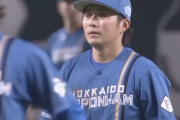 【朗報】日ハムの二遊間、1年でカチカチになる