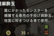 【MHWI】今さら言うのもアレだけど捕獲玉をなぜ二回投げないといけないのか【アイスボーン】