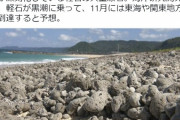 【沖縄】大量の軽石で港が閉鎖で漁が出来ない状態…11月には関東にも到達する予想