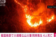 韓国43カ所で同時多発的に山火事発生、消防隊員4人死亡…政府が「国家動員令」発令