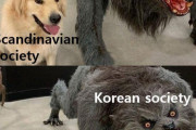 外国人「北欧と韓国では社会と音楽が真逆って本当なのかい？」