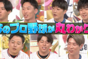 今日のジョブチューン プロ野球SPの参加メンバーｗｗｗｗｗｗｗｗｗｗｗ