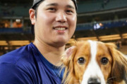 ドジャースの真のMVPは大谷翔平の相棒デコピンだった