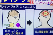 【悲報】医者「突然ですがオミクロン感染者は終わりです。脳細胞が破壊され認知症になります」【ワイドスクランブル】