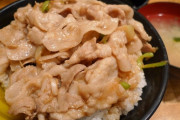 伝説のすた丼食ったことある奴おる？