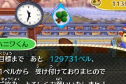 どうぶつの森の募金とかいうシステムｗｗｗｗｗｗｗｗｗｗ