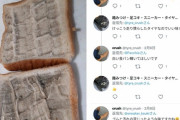 【悲報】性癖が「タイヤ」のやべーやつ、見つかる