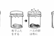 【朗報】　1668年の科学者「コバエが肉から自然発生してるのかどうか知るための実験思いついたで！」