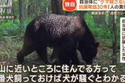 クマ駆除抗議30件女性「現地人は番犬飼っとけばええやん?」