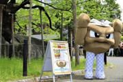 岩手県民、コロナ甲子園優勝祝賀会場