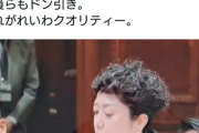 れいわ新選組・奥田ふみよ議員の発狂ぶりが話題に  [12/17]