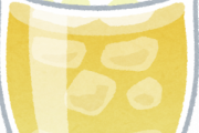 ソルティライチとかいう美味い飲み物