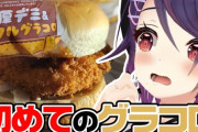 【Vtuber】魂子「(グラコロ食べて)これカロリーないわ、1個じゃお腹いっぱいにならないわこれ、もう1個買っとけば良かった」