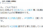 日ハム王柏融さん 一軍合流