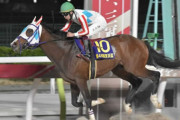【ジャパンダートC】ナチュラルライズ ダート三冠なるか