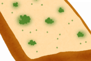 カビたパン食った結果www