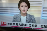 【悲報】魅力度ランキング最下位にされた栃木県さんブチギレ、調査会社に出向き不服申立てへ