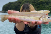 ７月の釣果を楽しむ！岸から釣れる美味しい魚５選！