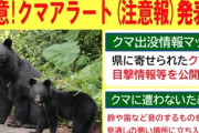 【悲報】イスラエルに続いて日本も開戦だ　三重県で緊急アラートが発表「クマアラート発出、クマアラート発出」単独行動は避けてください