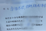 【画像あり】緊急事態！俺、謎の病気にかかる→医者の書いた診断書はこちらorz