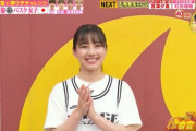 【日向坂46】TV業界の思惑にまんまとのせられた。
