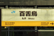 【大阪府内初】モズと古墳モチーフに…堺市が図柄入りナンバープレート発表