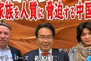 【掃き溜めに鶴】立憲民主党の議員さん　まともな事を言ってしまうwwwwwwww