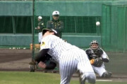 阪神ﾄﾞﾗ1西純の首振り投球ｗｗｗｗｗｗｗｗ