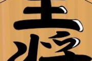 王将「歩兵も不安よな。王、動きます。」