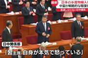 【悲報】日中関係、ガチで異例の事態に！ 習近平自らが本気で怒っているとの報道ｗｗｗｗｗｗ