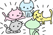 【猫の集会】なあ、マジで猫って集まってなにしてんの？